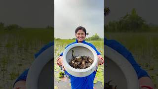 Crab🦀 with Fish curry Recipe youtubeshorts shorts cooking [upl. by Sadira]