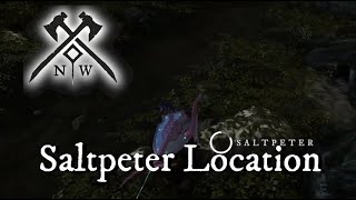 Saltpeter Farming Location  Ebonrock Quarry Everfall  New World [upl. by Ydorb177]