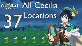 Genshin Impact l All Cecilia Locations [upl. by Nosnej951]