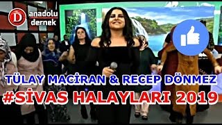 Tülay Maciran  Recep Dönmez  Sivas Halayları [upl. by Faythe]