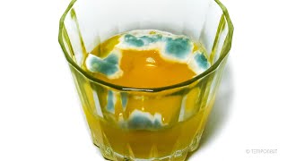 Orange Juice TimeLapse [upl. by Elset]