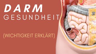 MIKROBIOM amp DARMGESUNDHEIT einfach erklärt DESHALB entsteht KRANKHEIT im DARM und WAS ICH GETAN HAB [upl. by Annekcm]