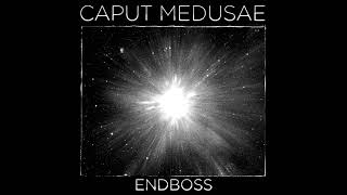 Caput Medusae  Endboss [upl. by Ycal]