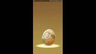 Pokemon Go Hatched Porygon [upl. by Wallford]