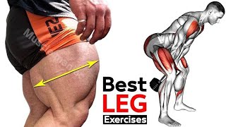 LEGS Workout for INTERMEDIATE in HINDI  LEGS वर्कआउट इंटरमीडिएट के लिए [upl. by Atihcnoc]