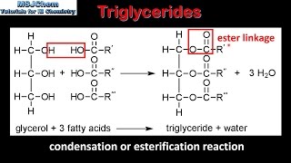 B3 Triglycerides SL [upl. by Sherer]