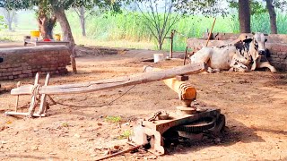 Unseen village life in punjab Pakistan  Rural farmhouse style in punjab  Old punjab village [upl. by Ahseirej]