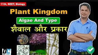 11 BIOLOGY CH 3 PLANT KINGDOM TYPE OF ALGAE शैवाल का वर्गीकरण om sir [upl. by Fortunia169]