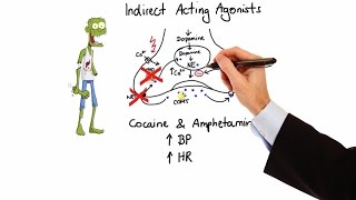 Pharmacology  ADRENERGIC RECEPTORS amp AGONISTS MADE EASY [upl. by Jurdi193]