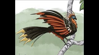 How to Draw a Hoatzin  Drunk Animal Drawing [upl. by Rosenblatt316]