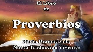 Libro de Proverbios  Narrado  AudioLibro [upl. by Lenaj479]