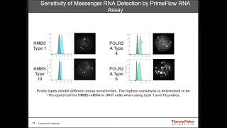 PrimeFlow RNA Assay  Simultaneous detection of RNA and protein by flow cytometry [upl. by Lapides]