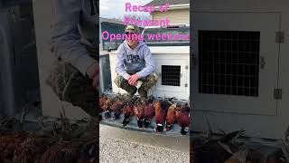 Opening weekend of pheasant hunting 2024 song music hunting jesus shorts [upl. by Yarak]