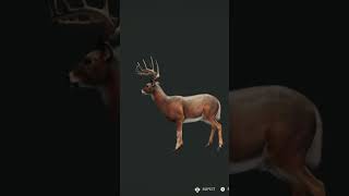 Diamond or troll cotw deerhunting [upl. by Nakhsa]