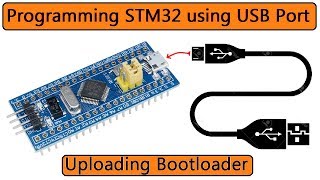 STM32 Bootloader  Programming STM32F103C via USB Port [upl. by Ignace812]