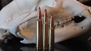 308 vs 3006 vs 300 Win Mag Which One Should You Hunt With [upl. by Neeham557]