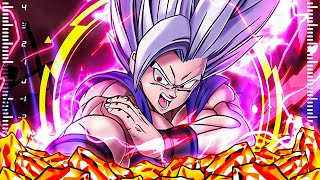 BEAST GOHAN IS HERE LR BEAST GOHAN amp LR GAMMA 1 amp GAMMA 2 SUMMONS Dragon Ball Z Dokkan Battle [upl. by Kind]