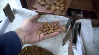 Impianto di sgusciatura mandorle Str2  Almonds shelling and separating machine [upl. by Ahab]