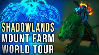 WoW Mount Farm World Tour  Shadowlands  MaldraxxusArdenweald [upl. by Noirb514]