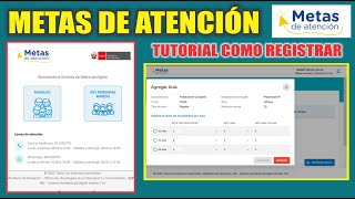 Metas de Atención MINEDU 2023  ¿Cómo REGISTRAR en el Sistema [upl. by Nelac]