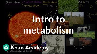 Introduction to metabolism anabolism and catabolism  Khan Academy [upl. by Nesline]