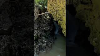 La Maquina Río Camuy travel discoverpuertorico waterfall nature puertorico camuy shortsfeed [upl. by Israel]