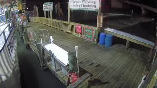 Hubbards Marina Dock Cam  Johns Pass  Madeira Beach FL  httpsHubbardsMarinacom [upl. by Stockton]