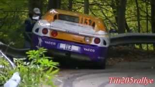 sorties crashs et figures rallye et course de cote best of 2013 [upl. by Heriberto]