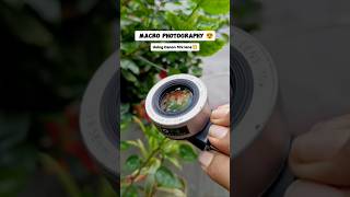 Mobile Macro Photography By Ayush Sah  Our Customer [upl. by Hardwick]