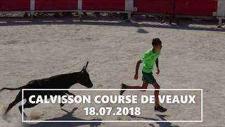 CALVISSON COURSE DE VEAUX ET DOUBLINQUE 18072018 [upl. by Odlaner63]