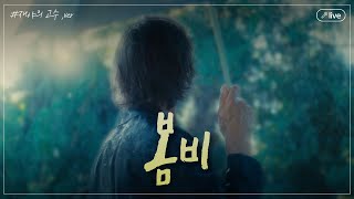 live 비가 촉촉히 내리는 봄날에 문득 생각나는 노래  봄비Spring rain [upl. by Yessac]