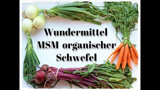 😮Wundermittel MSM organischer Schwefel  DAS passiert wenn du MSM organischen Schwefel einnimmst [upl. by Aivull349]