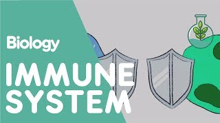 The Immune System  Health  Biology  FuseSchool [upl. by Florence]