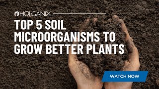 Holganix  Top 5 Soil Microorganisms to Grow Better Plants [upl. by Latsirc146]