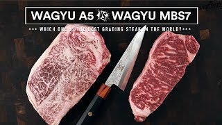 Japanese WAGYU A5 VS AUSTRALIAN Wagyu MBS 7  Worlds Best Steaks Battle [upl. by Marne]