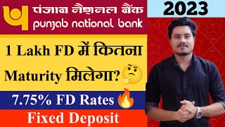 Punjab National Bank FD Interest Rates 2023  PNB Fixed Deposit New Rates  Benefits Features [upl. by Sinnek408]