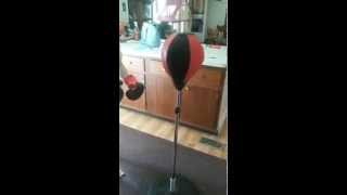 Childrens Pro Freestanding Reflex Punching Bag  use by son [upl. by Park]