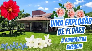 UM jardim CHEIO DE FLORES A PRIMAVERA chegou💐🌼 [upl. by Baese]