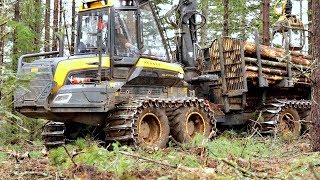 Worlds Most Amazing Logging Machines In Operation [upl. by Yenreit]