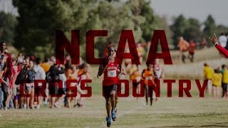 NCAA CROSS COUNTRY [upl. by Codel]