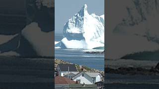 Iceberg Alley in Canada Part 2 [upl. by Aicerg]