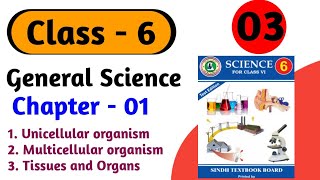 Unicellular and Multicellular organisms  Tissue And Organs class 6 science chapter 1 sindh board [upl. by Annat]