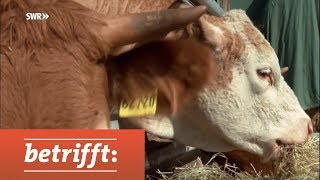 Unser Fleisch  Bio oder Masse  SWR betrifft [upl. by Sevik]