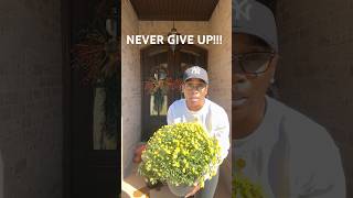 “Rise above Adversity Never Give Up on Dreams” [upl. by Avivah635]