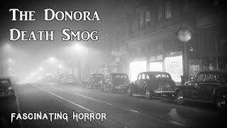 The Donora Death Smog  A Short Documentary  Fascinating Horror [upl. by Nelleh]