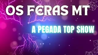 Os Feras MT Lambadinha Top D [upl. by Tnecillim]