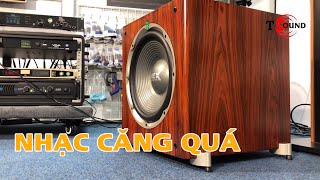 SUB NEX acoustics SPT12 NHẠC QUÁ CĂNG [upl. by Gatias]