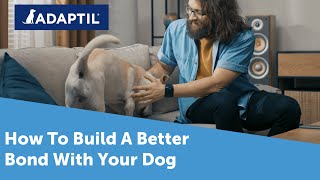 5 Tips to Build A Better Bond With Your Dog [upl. by Alletnahs]