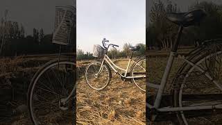 My cycle 🚲cycle cycling village villagelife villagemystery shorts nomadicvlog youtubeshorts [upl. by Warren642]