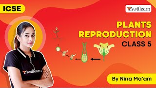 Plants Reproduction  ICSE class 5  Science Online Class  Session 1  Swiflearn [upl. by Marrin]